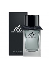 Burberry Mr. Burberry EDT 100ml