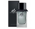 Burberry Mr. Burberry EDT 100ml