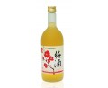 國盛 Kunizakari Umeshu 72cl