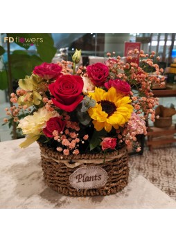 Custom Made Flower Hamper by FDflowers
