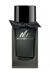 Burberry Mr Burberry EDP 100ml